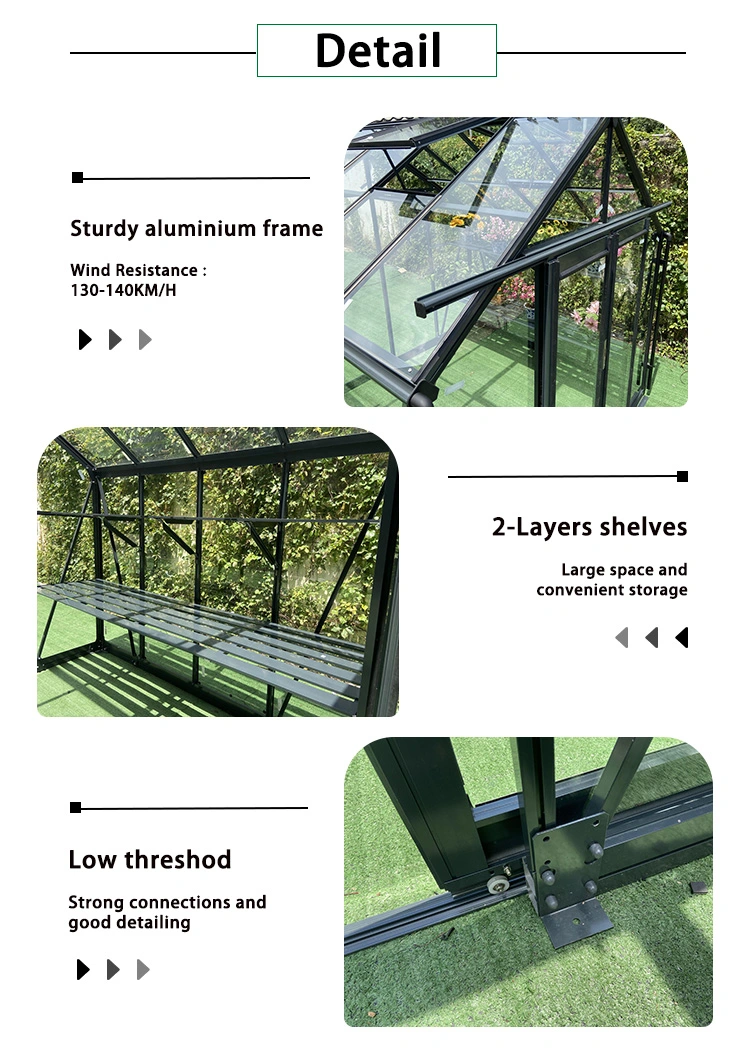 Dome Glass 4m Width Greenhouse for Growing