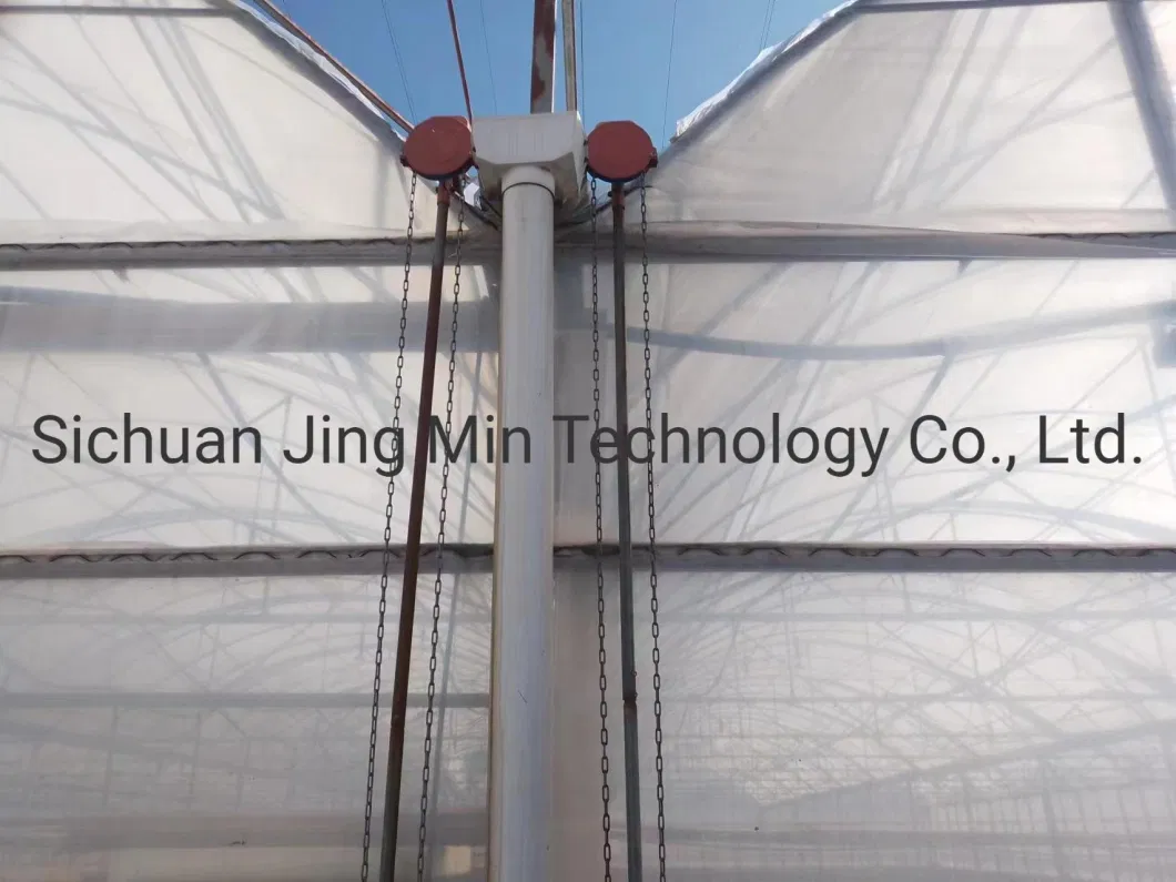 Agricultural Multi Span PE Film Vegetable Greenhouse with Cooling System