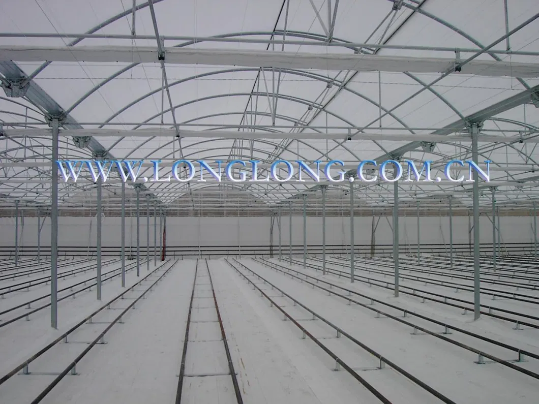 Excellent Greenhouse Framework/Skeleton for EU Type Greenhouse