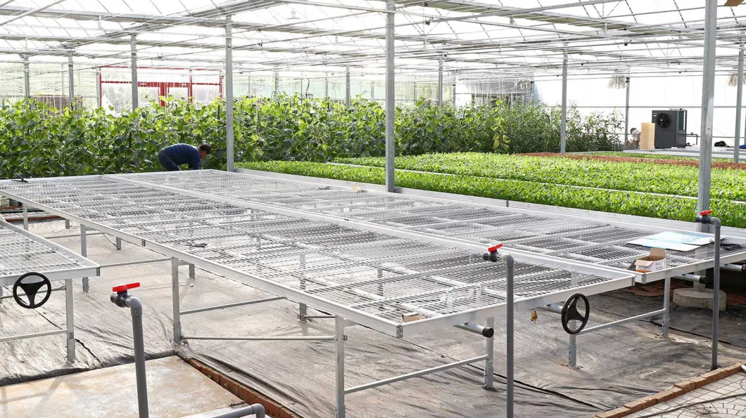 Movable Nursery Growing Talbes Rolling Benches for Greenhouse